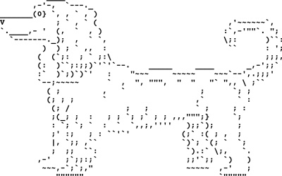 File:Image1.png